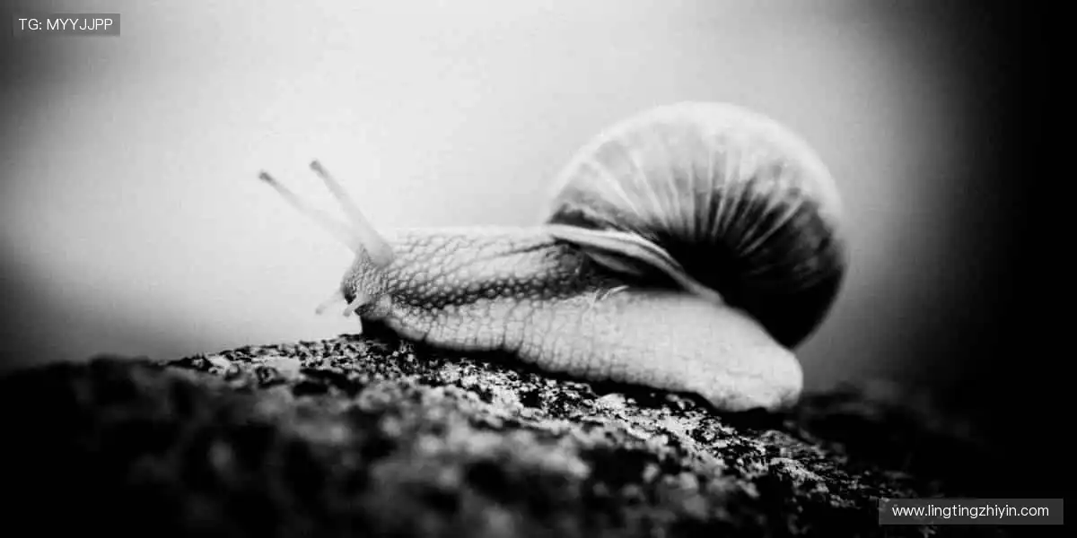 一键锁定，精彩不错过！📱